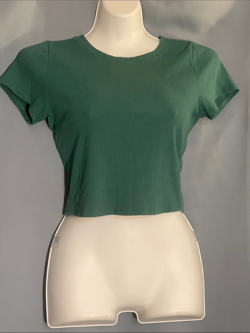 Essential Ribbed Crop Tee in Forest Green